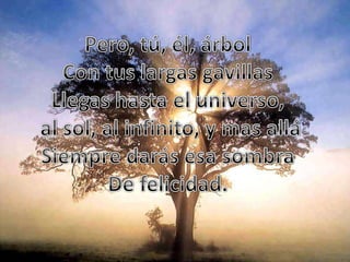 Pero, tú, él, árbolCon tus largas gavillasLlegas hasta el universo, al sol, al infinito, y mas alláSiempre darás esa sombraDe felicidad.