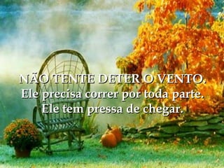 NÃO TENTE DETER O VENTO. Ele precisa correr por toda parte. Ele tem pressa de chegar. 