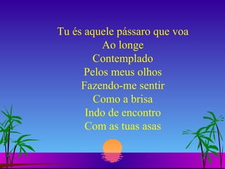 Tu és aquele pássaro que voa Ao longe Contemplado Pelos meus olhos Fazendo-me sentir Como a brisa Indo de encontro Com as tuas asas 