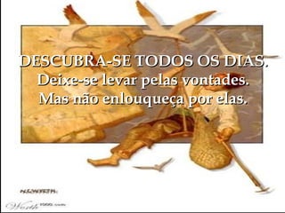 DESCUBRA-SE TODOS OS DIAS. Deixe-se levar pelas vontades. Mas não enlouqueça por elas. 