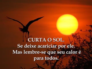 CURTA O SOL. Se deixe acariciar por ele.  Mas lembre-se que seu calor é para todos. 