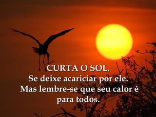 CURTA O SOL. Se deixe acariciar por ele.  Mas lembre-se que seu calor é para todos. 