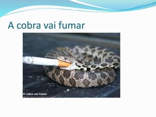 A cobra vai fumar
 