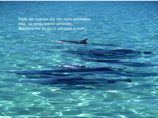 Pode ser que um dia não mais existamos... Mas, se ainda sobrar amizade, Nasceremos de novo, um para o outro. 