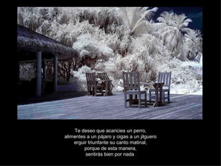 Te deseo que acaricies un perro, alimentes a un pájaro y oigas a un jilguero erguir triunfante su canto matinal, porque de esta manera, sentirás bien por nada . 