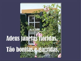 Adeus janelas floridas, Tão bonitas e garridas, 