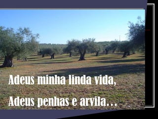 Adeus minha linda vida, Adeus penhas e arvila… 
