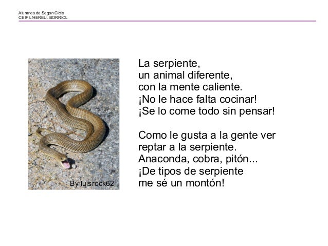 Poema la serpiente