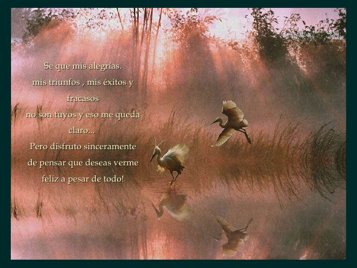 Poema: Lo Que Pienso Cuando Pienso En Ti