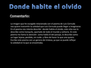 La imagen que he escogido relacionada con el poema de Luis Cernuda
nos quiere transmitir la soledad que Luis Cernuda puede llegar a imaginarse.
En el poema nos intenta describir donde habita el olvido, este sitio nos lo
describe como tranquilo, apartado de todo el mundo y solitario. En este
poema me llama la atención como habla él del paisaje, lo describe como
un lugar lejano, perdido, sin ruido y libre de hacer lo que uno quiere.
Escribe este poema con un genero de tristeza, ya que se puede reflejar
la soledad en la que se encontraba.
 