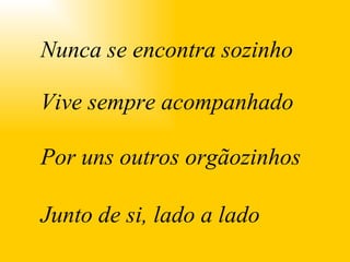 . Nunca se encontra sozinho Por uns outros orgãozinhos Vive sempre acompanhado Junto de si, lado a lado