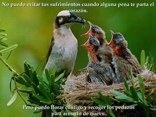 No puedo evitar tus sufrimientos cuando alguna pena te parta el
                           corazón.




        Pero puedo llorar contigo y recoger los pedazos
                   para armarlo de nuevo.
 