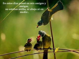 En estos días pensé en mis amigos y
              amigas,
  no estabas arriba, ni abajo ni en
               medio .
 