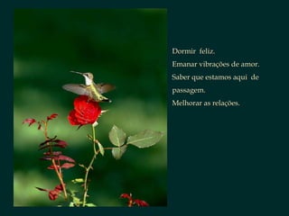 Dormir  feliz. Emanar vibrações de amor. Saber que estamos aqui  de passagem. Melhorar as relações. 