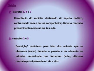 Divisão1ª- estrofes 1, 4 e 5Recordação do carácter destemido do sujeito poético, contrastando com o da sua companheira; discurso centrado predominantemente no eu, tu e nós.2ª- estrofes 2 e 3Descrição/ parêntesis para falar dos animais que se observam (vacas) durante o passeio e do alimento de primeira necessidade que fornecem (leite); discurso centrado principalmente no ele e elas.