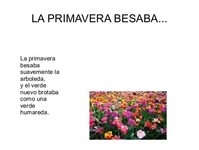 Poemas de la primavera para niños cortos - Imagui