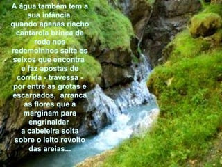 A água também tem a sua infância  quando apenas riacho cantarola brinca de roda nos redemoinhos salta os seixos que encontra  e faz apostas de corrida - travessa - por entre as grotas e escarpados,  arranca as flores que a marginam para engrinaldar  a cabeleira solta sobre o leito revolto das areias... 