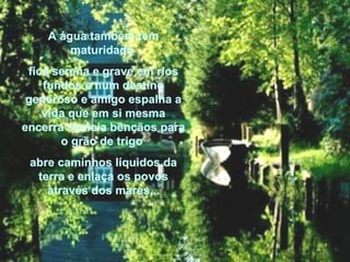 A água também tem maturidade  fica serena e grave em rios fundos e num destino generoso e amigo espalha a vida que em si mesma encerra semeia bênçãos para o grão de trigo  abre caminhos líquidos da terra e enlaça os povos através dos mares... 