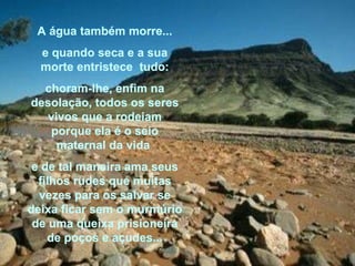 A água também morre... e quando seca e a sua morte entristece  tudo: choram-lhe, enfim na desolação, todos os seres vivos que a rodeiam porque ela é o seio maternal da vida  e de tal maneira ama seus filhos rudes que muitas vezes para os salvar se deixa ficar sem o murmúrio de uma queixa prisioneira de poços e açudes... 