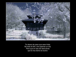 Te deseo de paso que seas triste.
No todo el año, sino apenas un día.
Pero que en ese día descubras
que la risa diaria es buena.
 