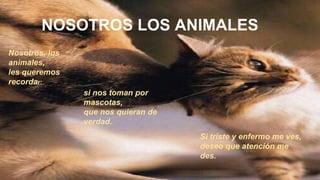 NOSOTROS LOS ANIMALES 
Nosotros, los 
animales, 
les queremos 
recordar: 
si nos toman por 
mascotas, 
que nos quieran de 
verdad. 
Si triste y enfermo me ves, 
deseo que atención me 
des. 
 