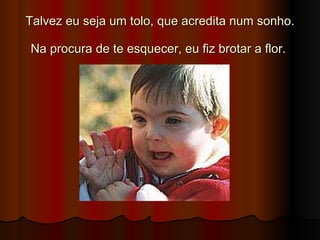 Talvez eu seja um tolo, que acredita num sonho.   Na procura de te esquecer, eu fiz brotar a flor.  