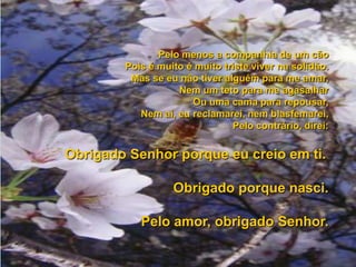 Poema do agradecimento