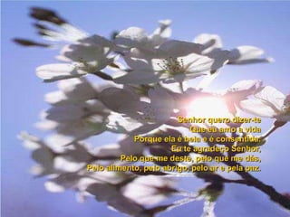 Poema do agradecimento