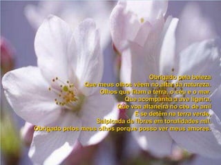 Poema do agradecimento