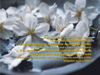 Poema do agradecimento