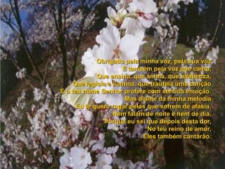 Poema do agradecimento