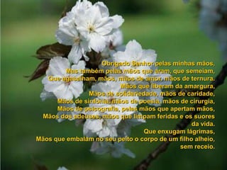 Poema do agradecimento