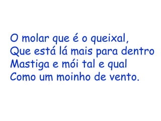 O molar que é o queixal, Que está lá mais para dentro Mastiga e mói tal e qual Como um moinho de vento. 
