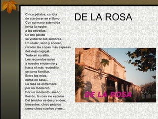 DE LA ROSA Cinco pétalos, caricia de atardecer en el llano. Con su mano extendida invita la noche a las estrellas. De oro pálido se vistieron las sombras. Un ulular, seco y sonoro, recorre las copas más espesas del viejo cagigal. Todo en su sitio. Los recuerdos salen a nuestro encuentro y hasta el más recóndito se torna familiar. Entre los míos, como en casa... La rosa se estremece, por un momento. Por un momento, sueño, ilusión, la rosa sin espinas. Del temblor se desprenden, inocentes, cinco pétalos como cinco sueños vivos... 