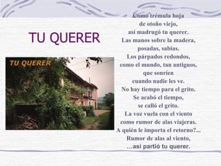 TU QUERER Como trémula hoja de otoño viejo, así madrugó tu querer. Las manos sobre la madera, posadas, sabias. Los párpados redondos, como el mundo, tan antiguos, que sonríen cuando nadie les ve. No hay tiempo para el grito. Se acabó el tiempo, se calló el grito. La voz vuela con el viento como rumor de alas viajeras. A quién le importa el retorno?... Rumor de alas al viento, … así partió tu querer. 