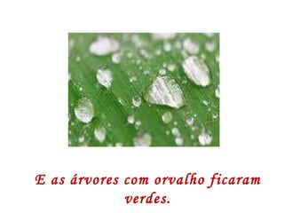E as árvores com orvalho ficaram verdes. 
