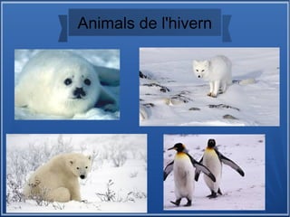 Animals de l'hivern