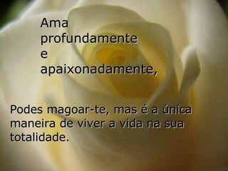 Ama  profundamente  e  apaixonadamente, Podes magoar-te, mas é a única maneira de viver a vida na sua totalidade. 