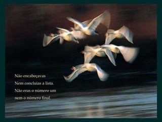 Não encabeçavas Nem concluias a lista. Não eras o número um nem o número final. 