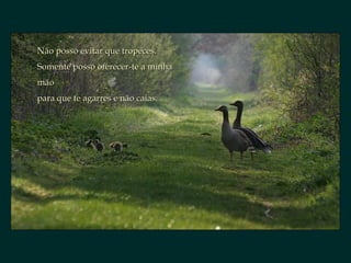 Não posso evitar que tropeces. Somente posso oferecer-te a minha mão para que te agarres e não caias.  