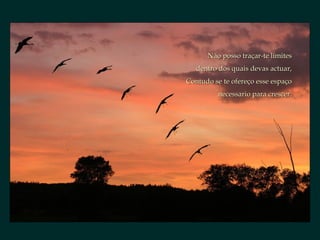 Não posso traçar-te límites dentro dos quais devas actuar, Contudo se te ofereço esse espaço necessario para crescer. 