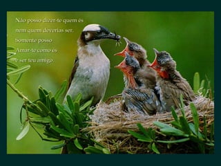 Não posso dizer-te quem és nem quem deverias ser. Somente posso Amar-te como és e ser teu amigo. 