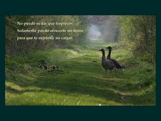 No puedo evitar que tropieces. Solamente puedo ofrecerte mi mano para que te sujetes y no caigas.  