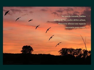 No puedo trazarte límites dentro de los cuales debes actuar, Pero sí te ofrezco ese espacio necesario para crecer. 