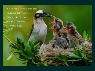 No puedo decirte quien eres ni quien deberías ser. Solamente puedo amarte como eres y ser tu amigo. 