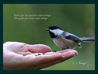 Basta que me queiras como amigo.Basta que me queiras como amigo.
Obrigado por seres meu amigo.Obrigado por seres meu amigo.
J. L. BorgesJ. L. Borges
 