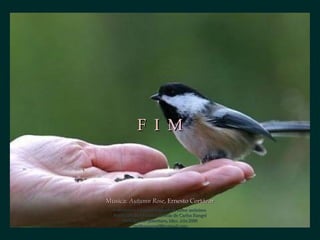 Música:Música: Autumn RoseAutumn Rose, Ernesto Cortázar, Ernesto Cortázar
F I MF I M
Concepto y creación original de autor anónimoConcepto y creación original de autor anónimo
Reedición de formato cortesía de Carlos RangelReedición de formato cortesía de Carlos Rangel
Santiago de Querétaro, Mex. Abr.2008Santiago de Querétaro, Mex. Abr.2008
carlitosrangel@hotmail.comcarlitosrangel@hotmail.com
 