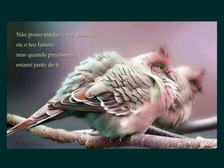 Não posso mudar o teu passadoNão posso mudar o teu passado
ou o teu futuro,ou o teu futuro,
mas quando precisaresmas quando precisares
estarei junto de ti.estarei junto de ti.
 