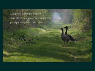 Não posso evitar que tropeces,Não posso evitar que tropeces,
somente posso oferecer-te a minha mãosomente posso oferecer-te a minha mão
para que te agarres e não caias.para que te agarres e não caias.
 