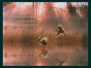 As tuas alegrias. os teus triunfosAs tuas alegrias. os teus triunfos
e os teus êxitos não são meus.e os teus êxitos não são meus.
Contudo, desfruto sinceramenteContudo, desfruto sinceramente
quando te vejo feliz.quando te vejo feliz.
 